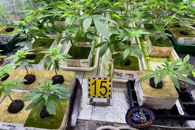 Pri akcii Botanik odhalili policajti laboratórium na pestovanie marihuany, zadržali dvoch ľudí Pri akcii Botanik odhalili policajti laboratórium na pestovanie marihuany, zadržali dvoch ľudí