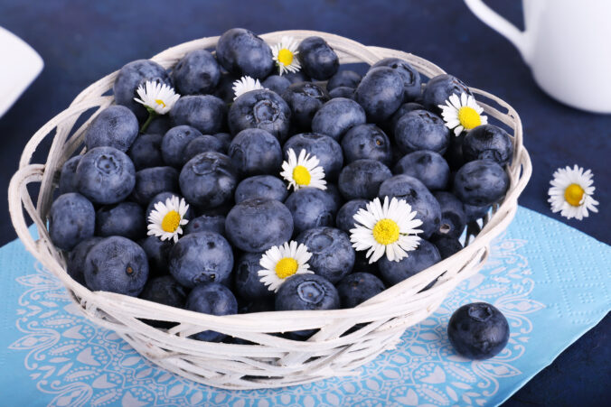 Sezóna čučoriedok sa začína: Slovenské patria k tým najčerstvejším a najzdravším
