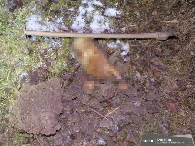 Muž z Klenovca brutálne dobil psa svojej družky, usmrtil ho motykou. Hrozí mu až trojročné väzenie – FOTO