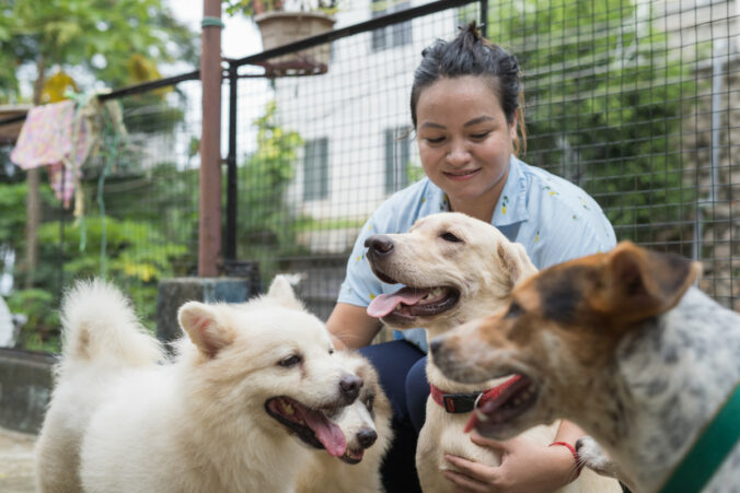 Prvý domov pre dvojnohých a štvornohých priateľov – väčšinou sú to mladí ľudia, ktorí si vyberajú šteniatka a mačiatka