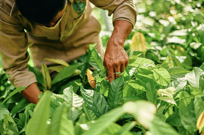 Mars dosiahol ďalšie absolútne zníženie emisií skleníkových plynov o 1,9 %