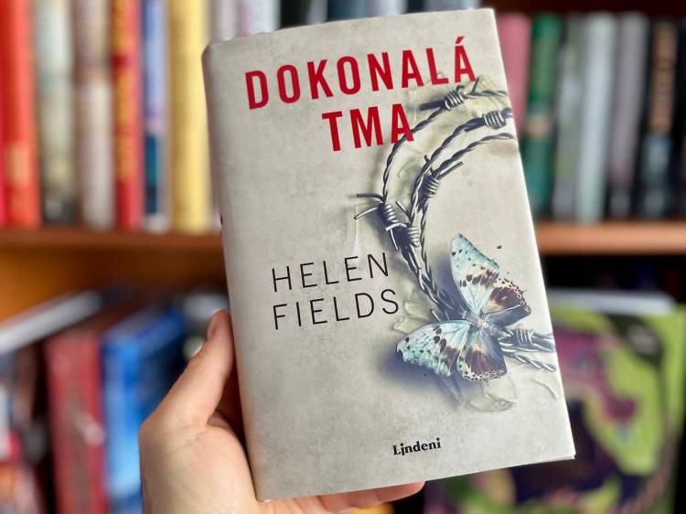 Keď sa zločin skrýva v tieni medzi Škótskom a Francúzskom. Krimi Dokonalá tma