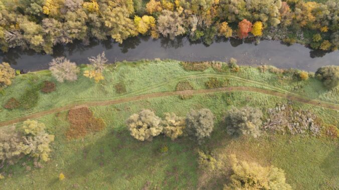 Nádej pre slovenskú prírodu: Projekt Prepojená krajina zapustil prvé korene