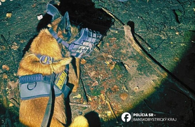 Policajný pes Max pomohol so zadržaním trojice zlodejov, a to iba párkrát zaštekal – FOTO