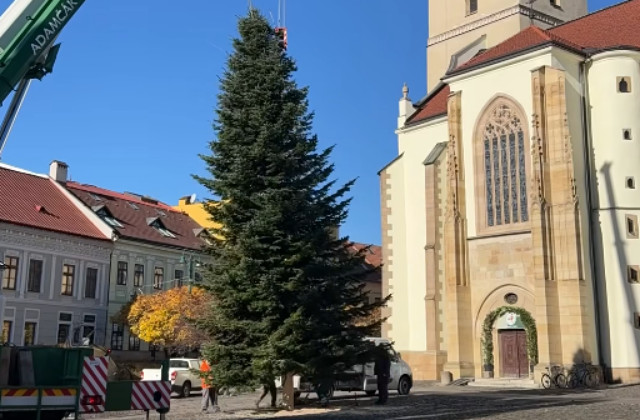 Vianočný stromček už osadili v Bratislave aj Prešove. Kedy návštevníkov privítajú prvé stánky? – VIDEO