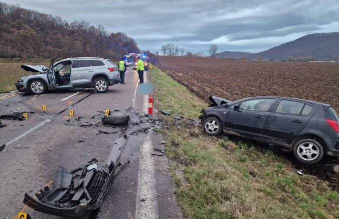 Tragická dopravná nehoda si vyžiadala život spolujazdca, vodičke vbehla do cesty lesná zver – FOTO