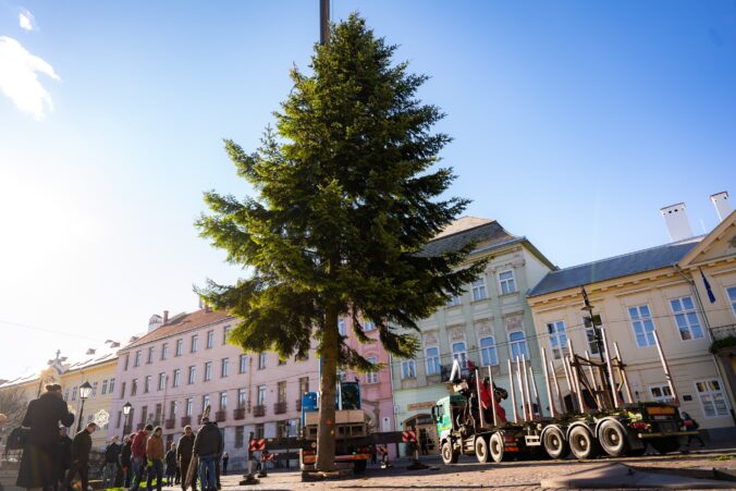 Košickú Hlavnú ulicu zdobí vianočný stromček, jedľa biela pricestovala do metropoly východu z Kysaku – VIDEO, FOTO