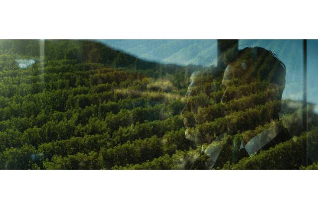 Dôvera v partnerstvo, ktorá pretrváva naprieč generáciami