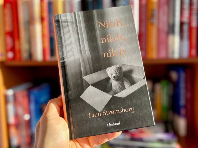 Nikdy, nikdy, nikdy. Odvážny román o ženách, ktoré sa rozhodli povedať „nie“ materstvu