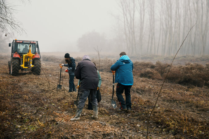Kým ľudia doma zdobia vianočné stromčeky, v Číčove sadia pôvodné dreviny. Zentiva podporila obnovu lužných lesov