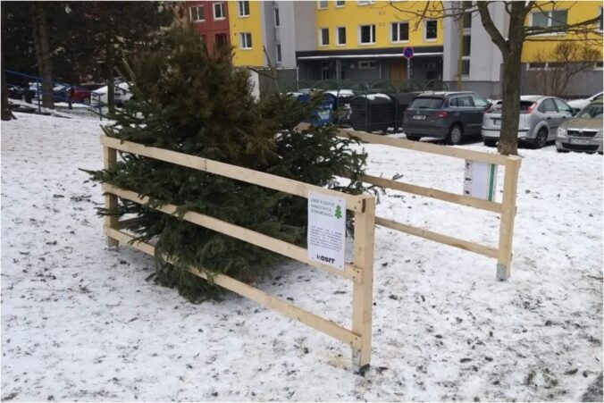 Košice rozbehli zber vianočných stromčekov, občania ich môžu odkladať ku kontajnerom alebo do ohrádok
