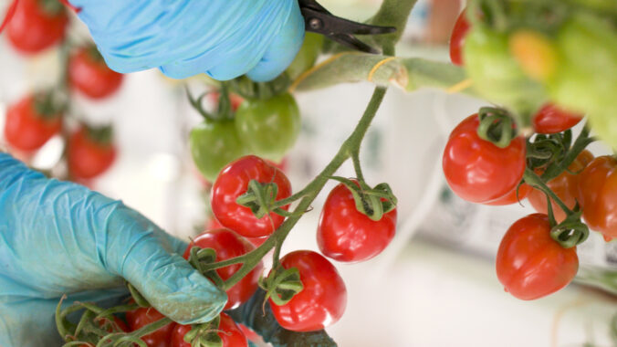 Kvalita bez kompromisov sa oplatí