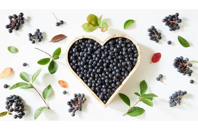 Kráľovná antioxidantov, ktorá zaujala aj vedcov: „Prečo je slovenská arónia číslo 1 na vašu imunitu?!“