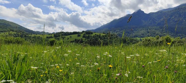 Ako turistika pomáha Vášmu zdraviu