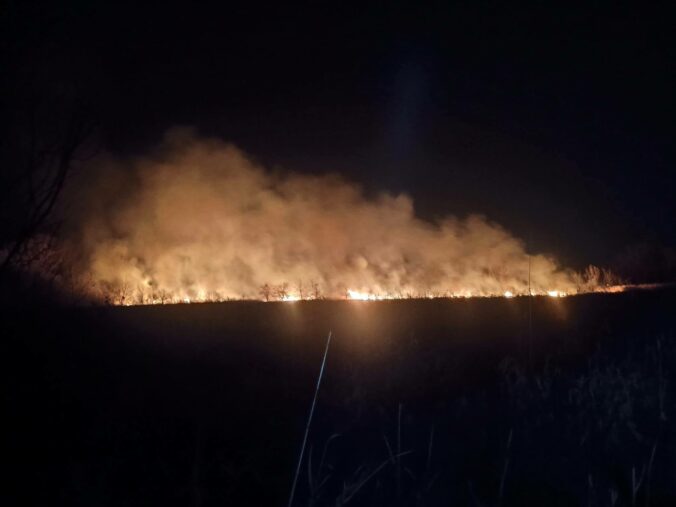 Požiar v areáli Trnavských rybníkov zamestnal hasičov, plamene zasiahli veľkú plochu porastu – FOTO