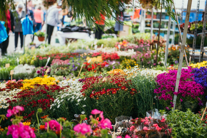Do Nitry za nábytkom a kvetmi! Už 15.4. štartuje veľtrh Nábytok a Bývanie & Gardenia 2026
