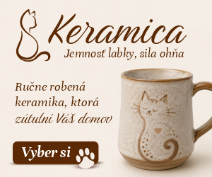 Keramica 4
